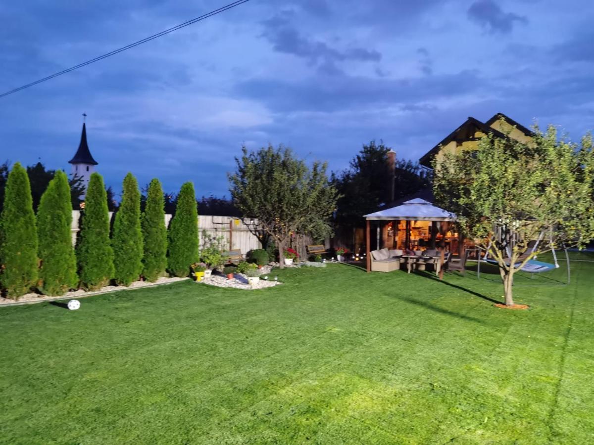 ホテル Janine Garden ブラショフ エクステリア 写真